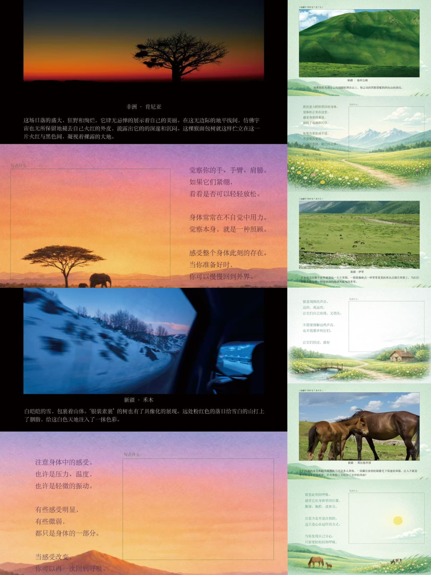 送进病房的风景明信片